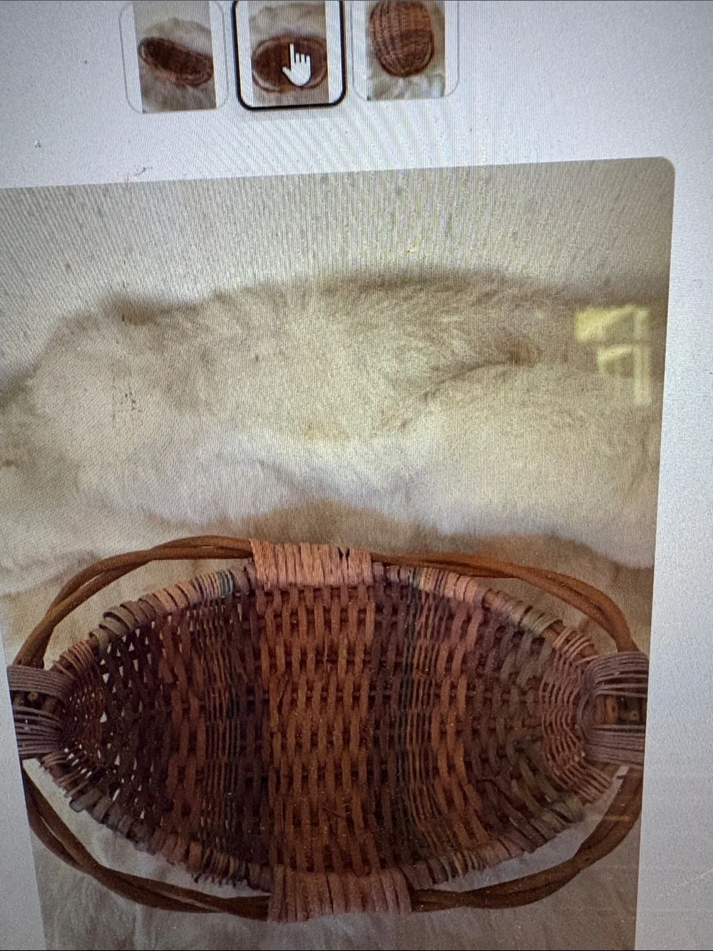 Oblong Multi-Color Basket. Vintage